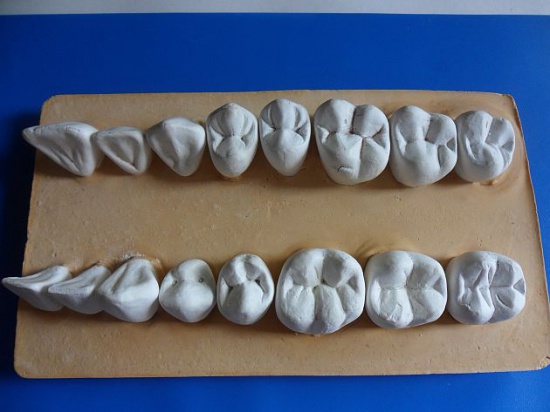 studium dentystyczne, dla uczniów zapewniamy materiały