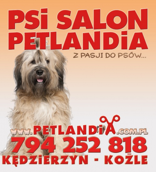 Kędzierzyn-Kożle Strzyżenie psów / Salon dla psów / Fryzjer dla psa / Salon fryzjerski dla psów